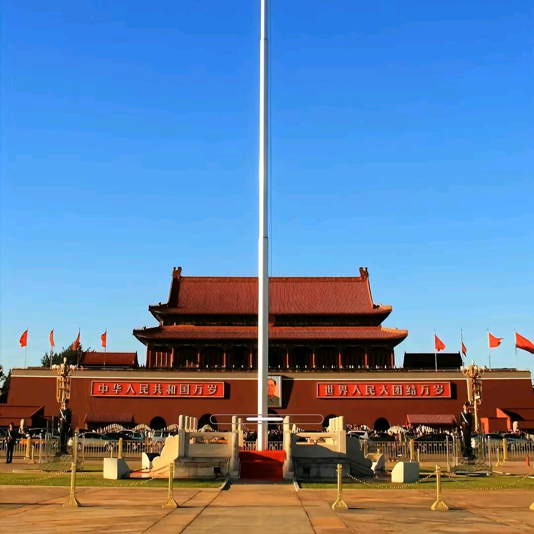 向阳花🌻