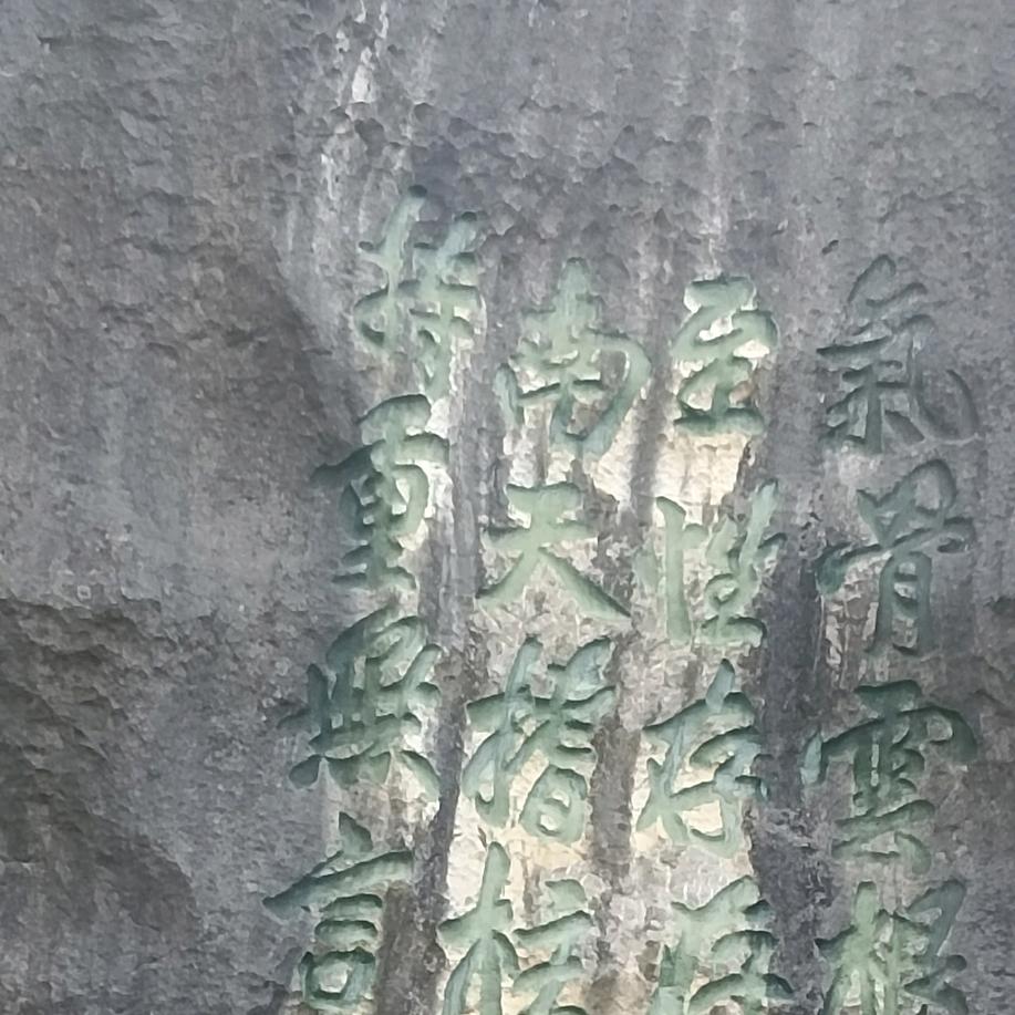 楠木。