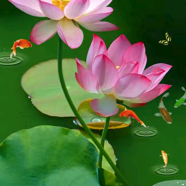 吉祥