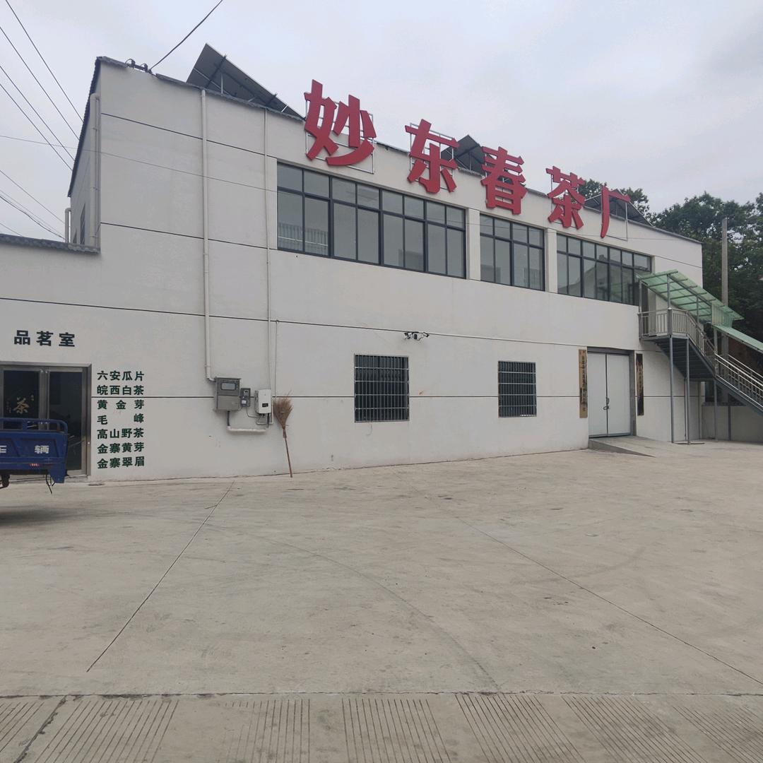 妙东春茶叶厂家店