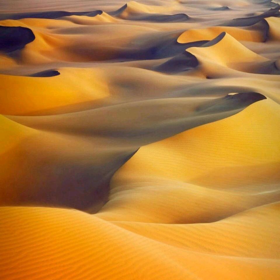 杨海军