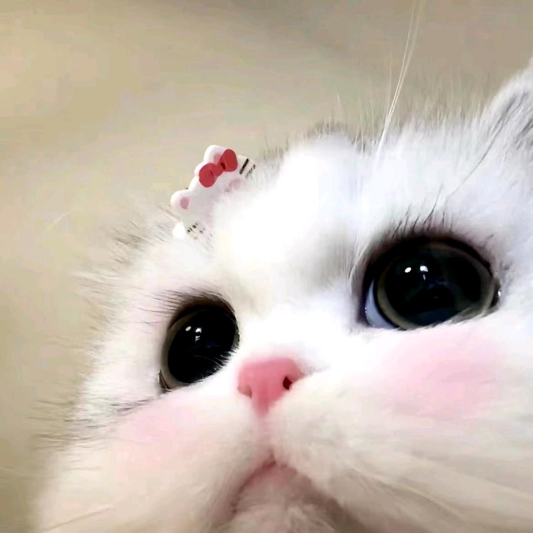 小熊吖～