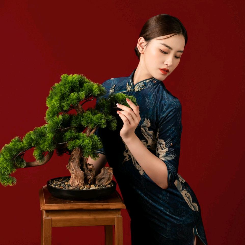 🌷是杨老师吖（招生中）