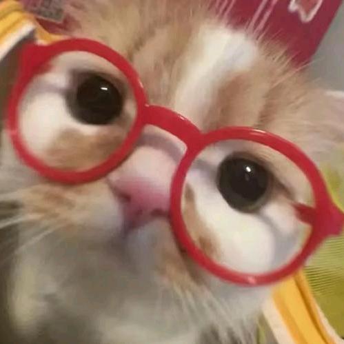 KiKi