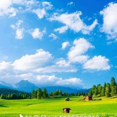 奇奇家的橱柜1号店