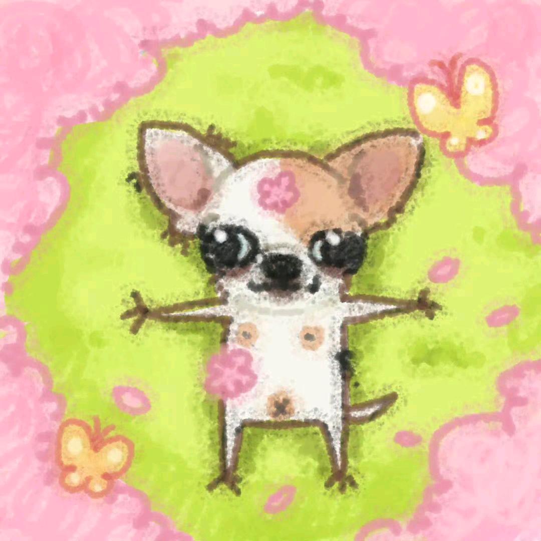 晴菜不是芹菜
