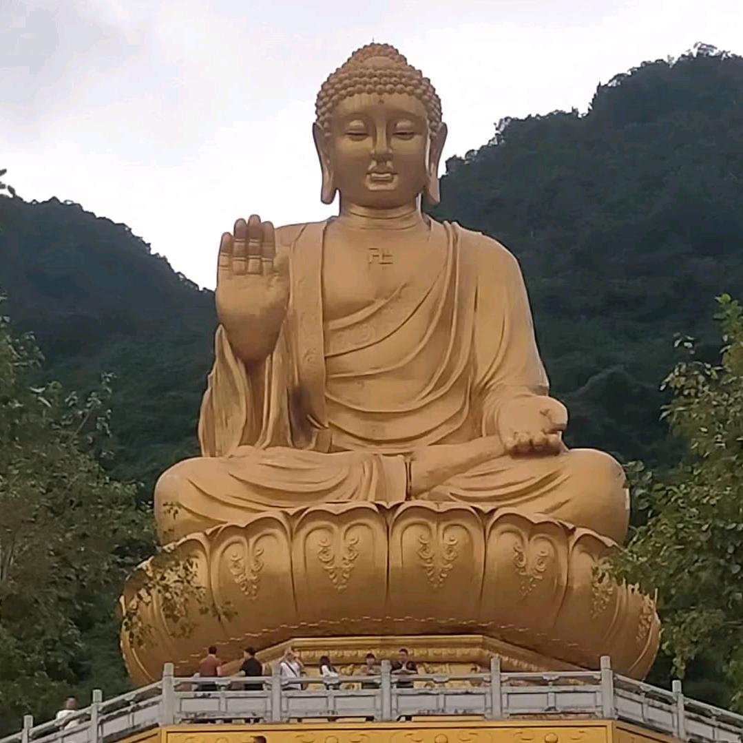 美丽人生78071