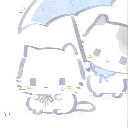 中午吃什么💤