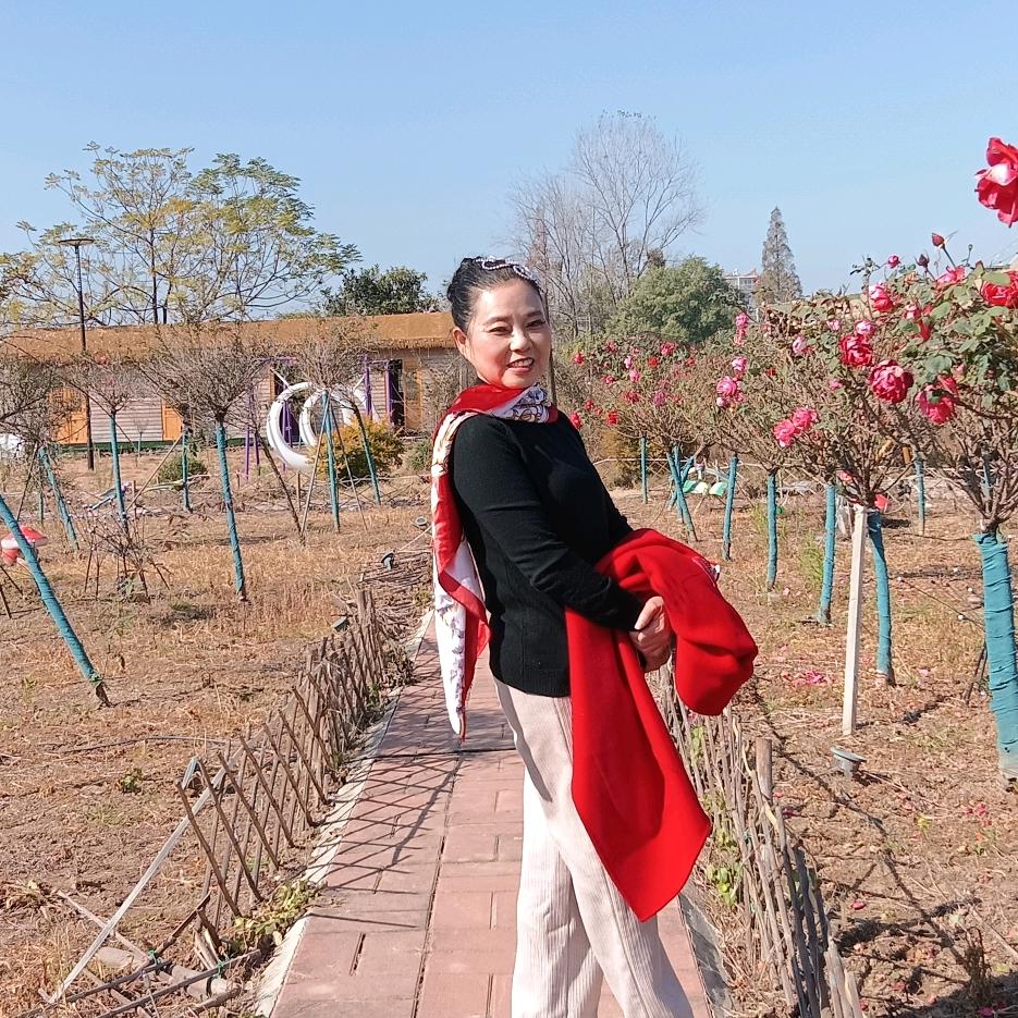 寒梅傲雪（67羊羊…