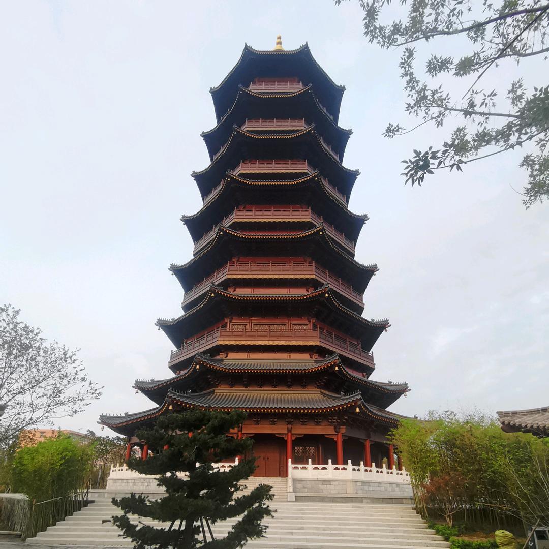 北大荒