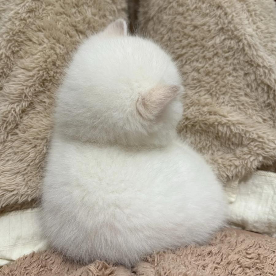 久伴不弃