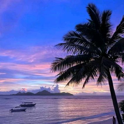 赏金的女王范儿