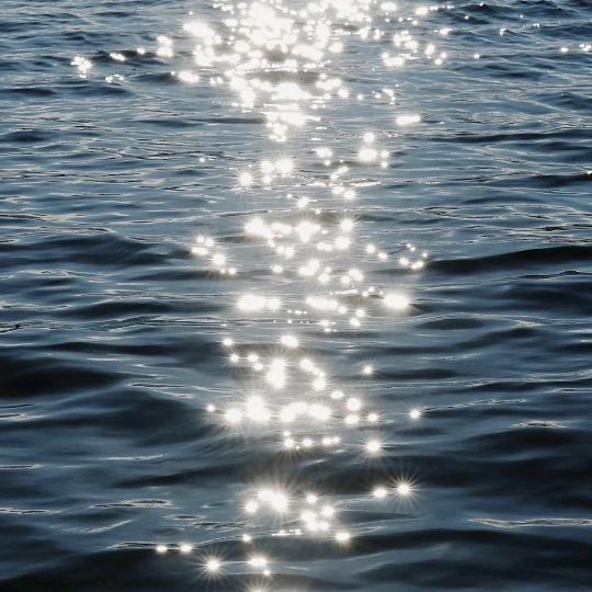 这周也要开学　　　　　　　　　　　广告ˣ