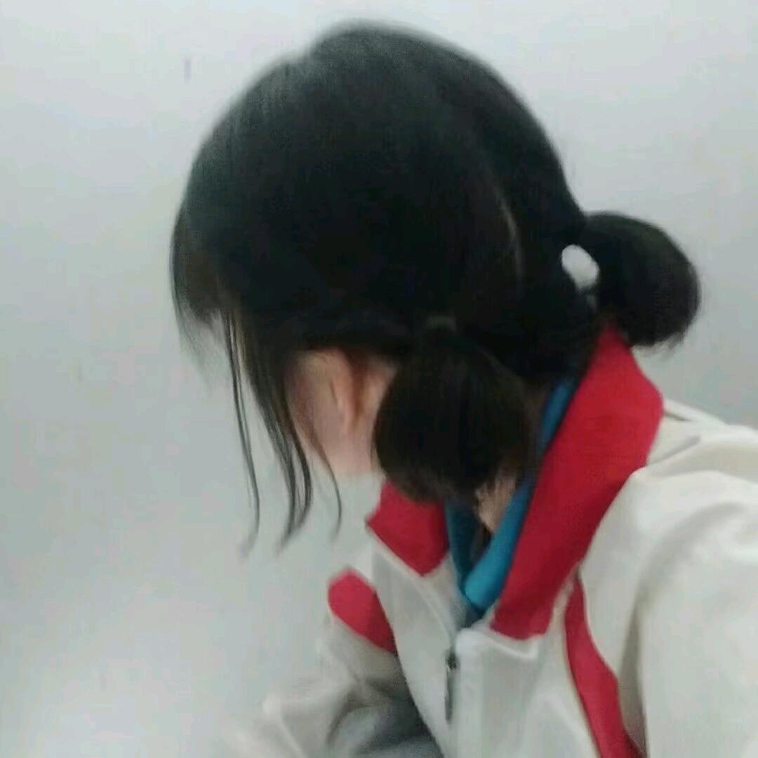 一只猫