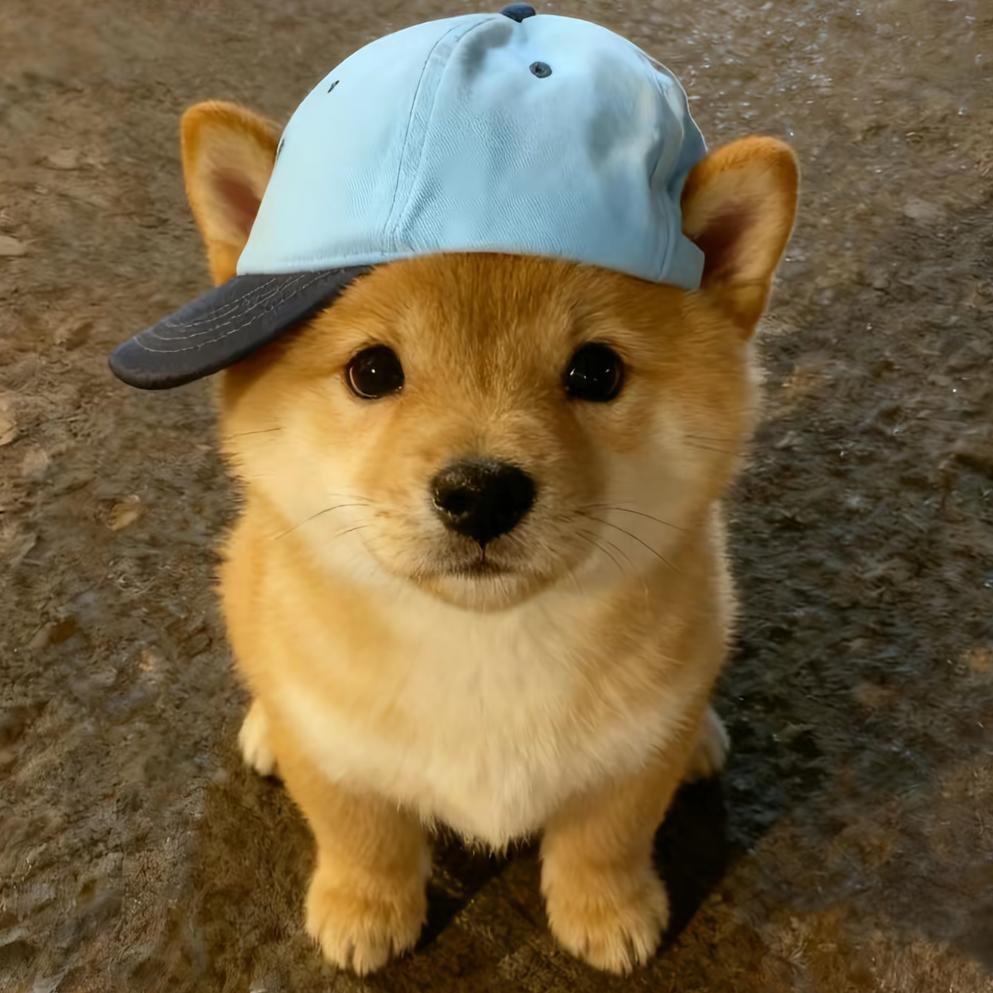 早上睡不醒
