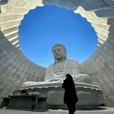 @DAWEI☆爱意随风起