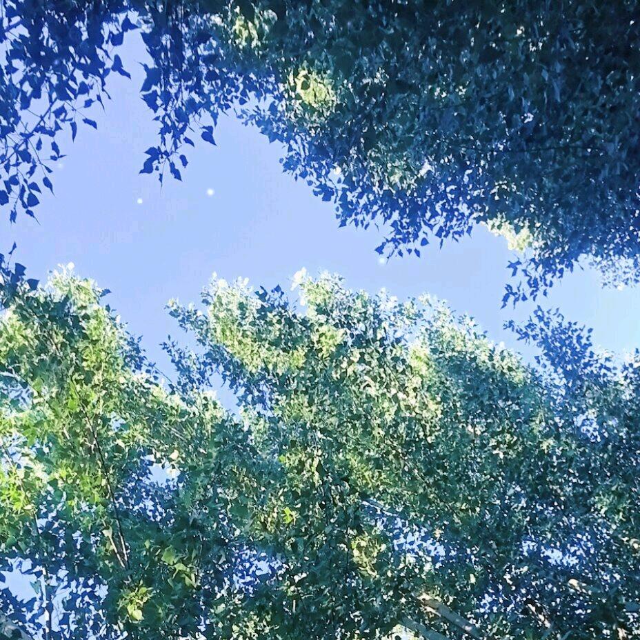 甜心