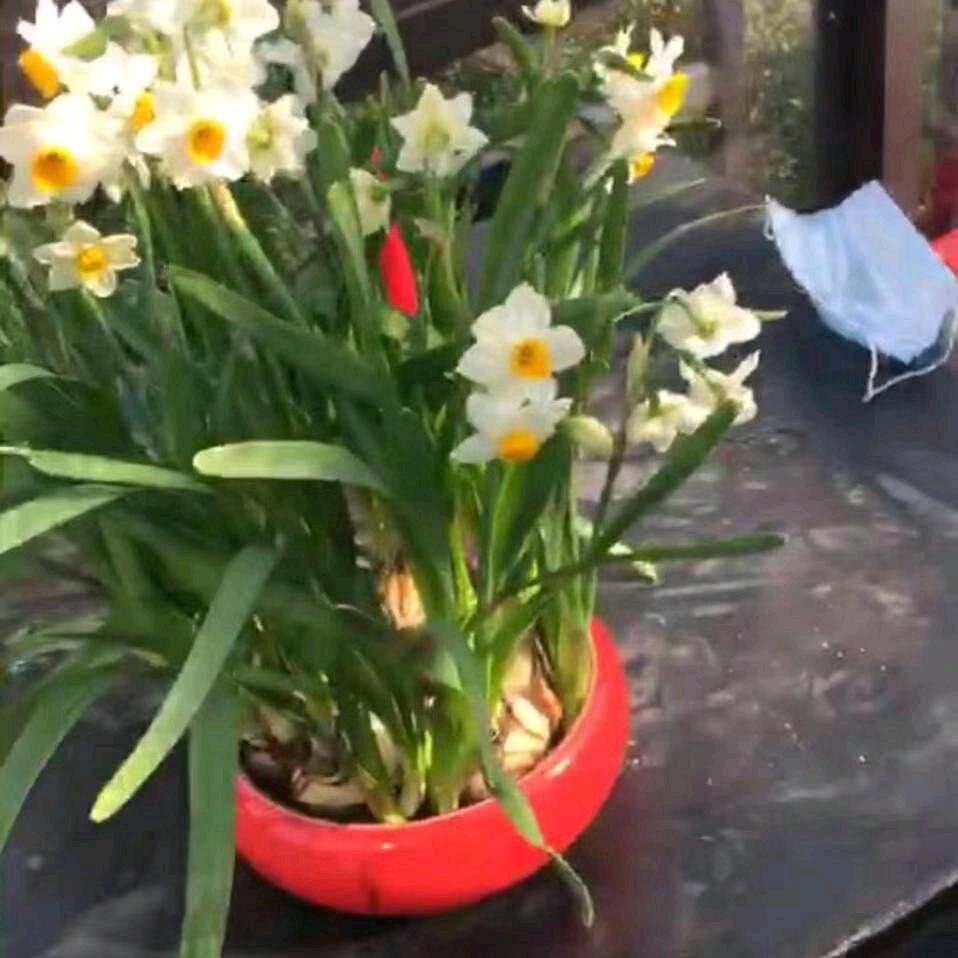 简简单单