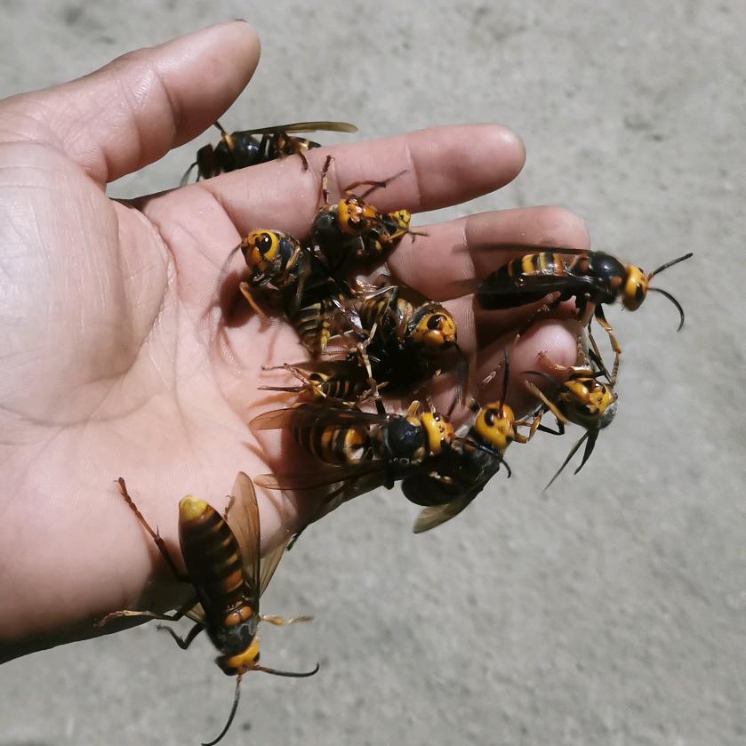 闲🐝云