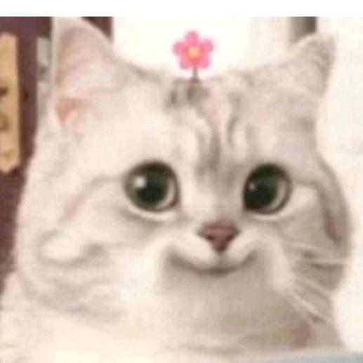 冒昧不是帽寐