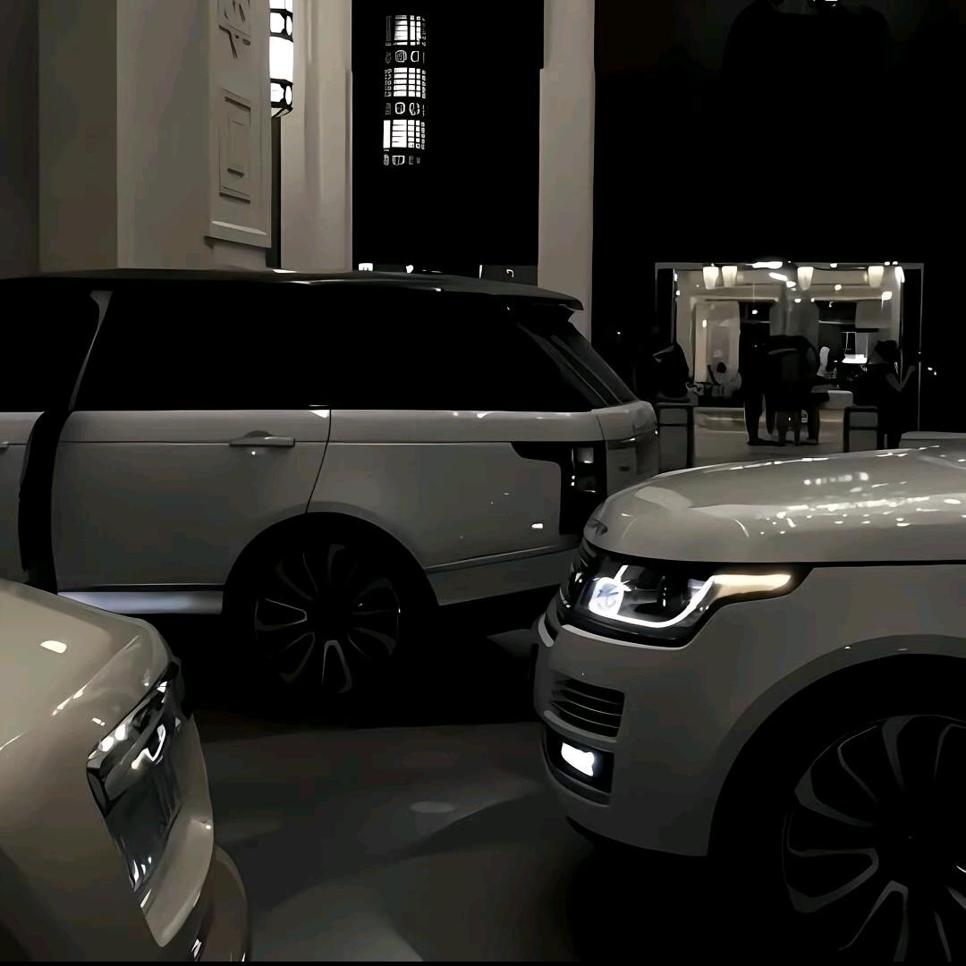 陈伟特价新车🚗