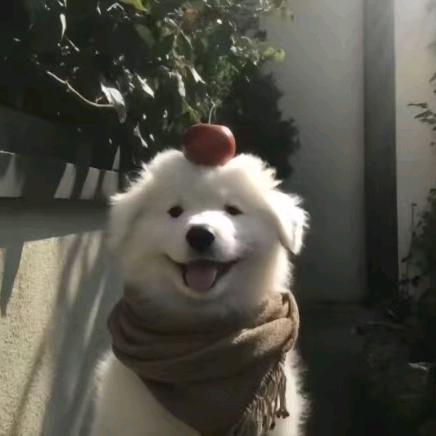 脸红了