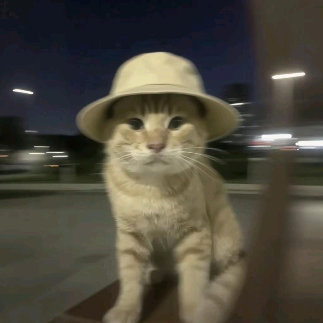 仙溯不是仙术