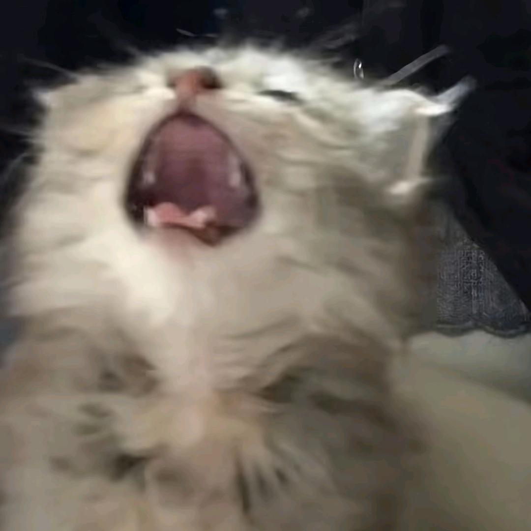 我σ了