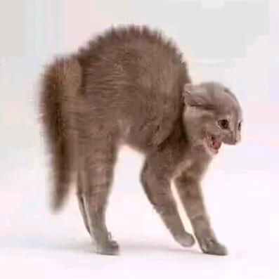 沐