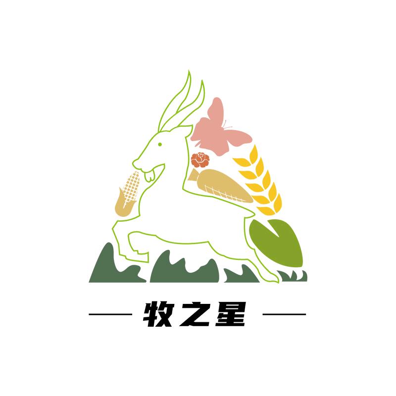 小梅在养羊