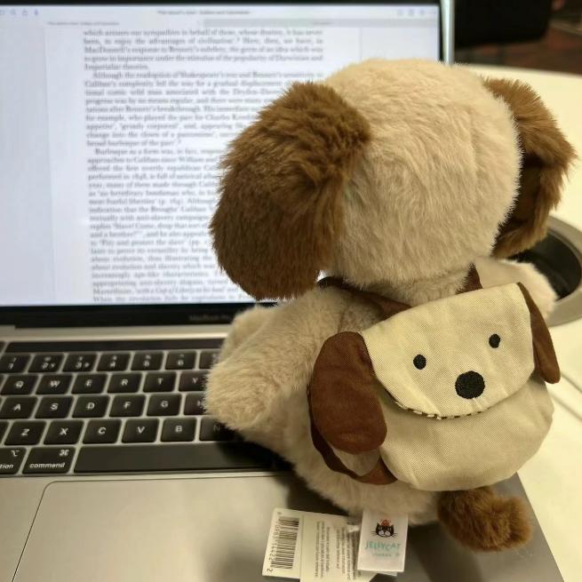 小助手日常（分享福利）