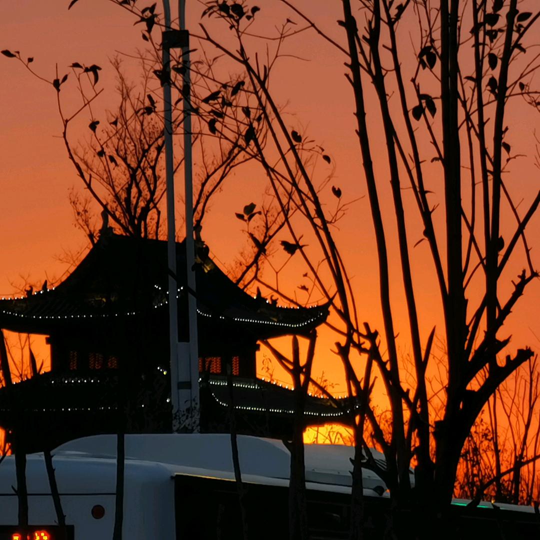 The Silk and the Fla