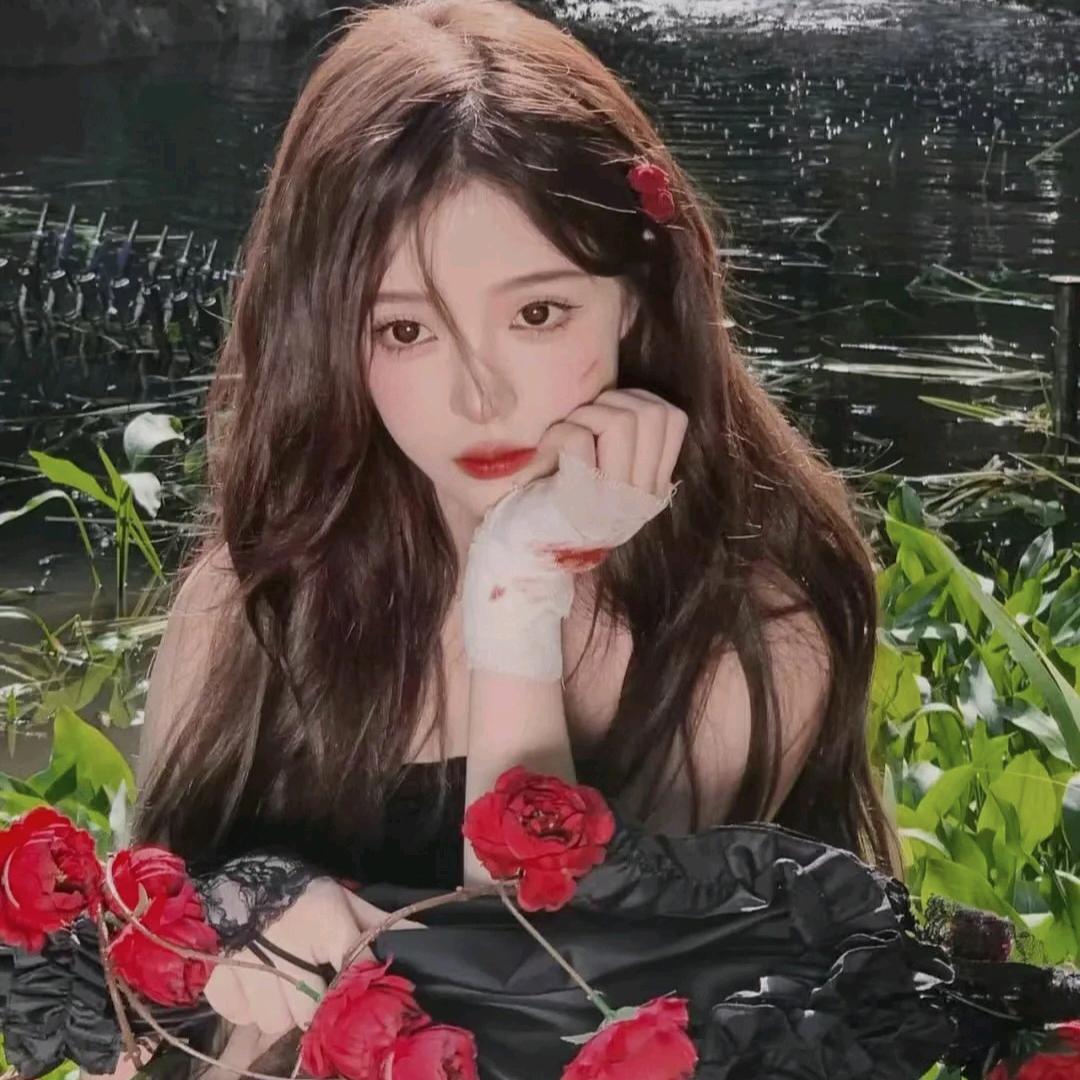 美美哒