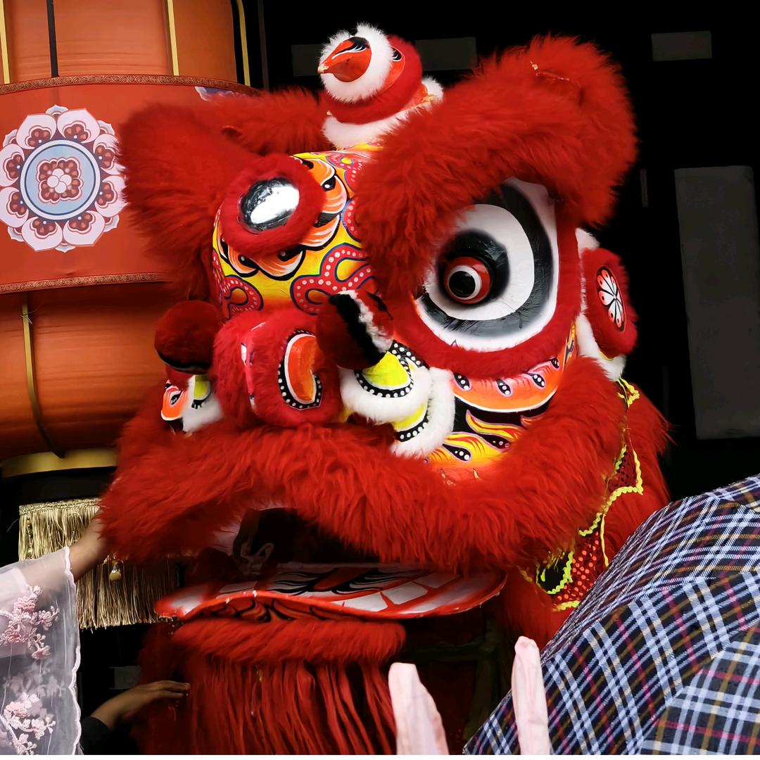 你要吃鸭博？