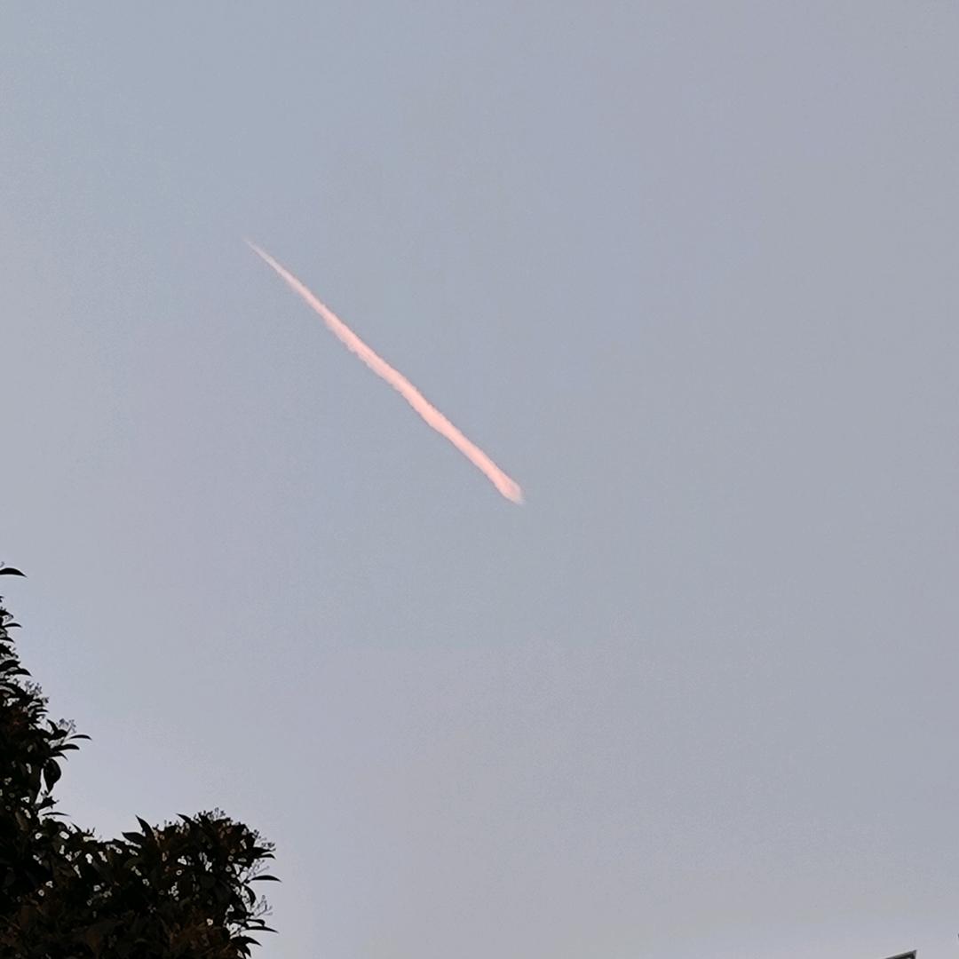 小姨妹~(¯▽¯~)~