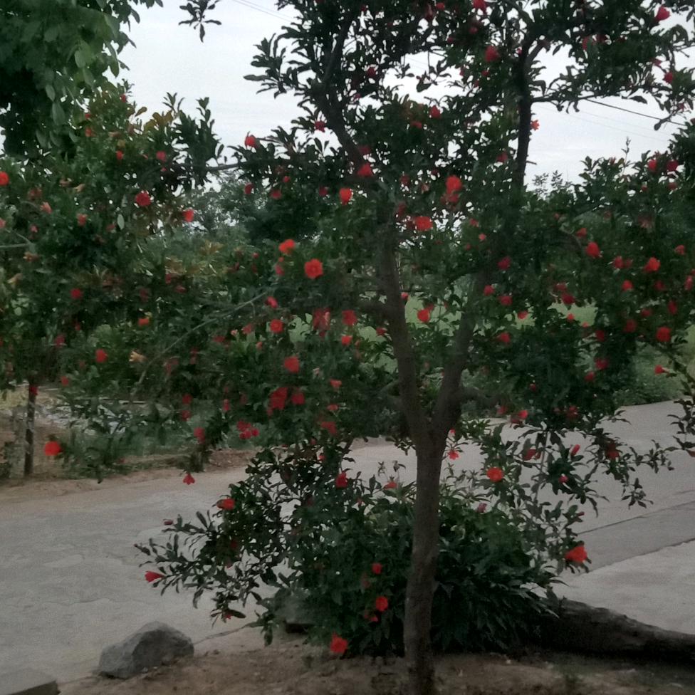 天天向上哦