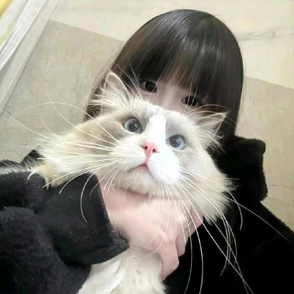 雨千千