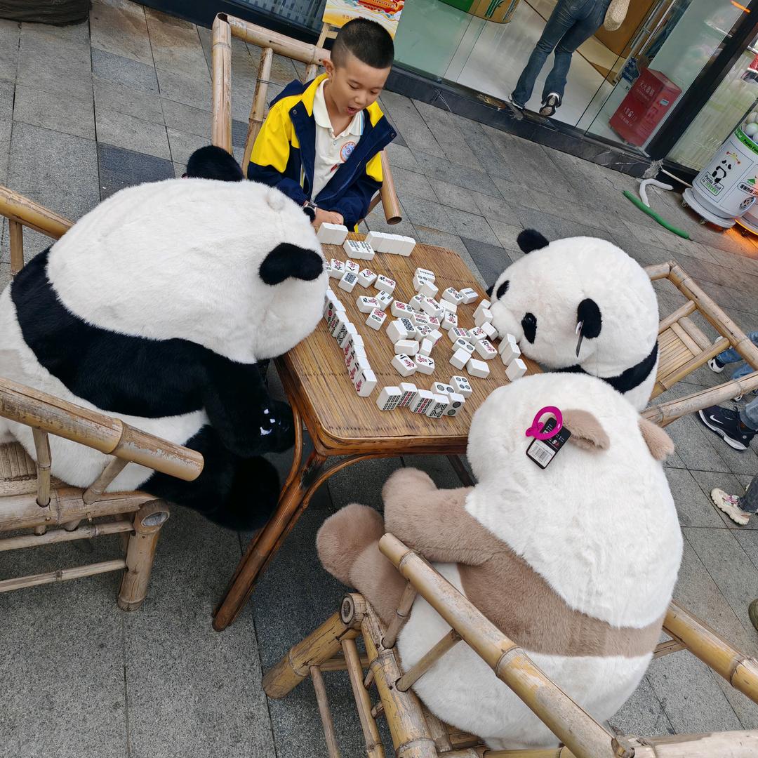 🚀琦琦找答案🗝