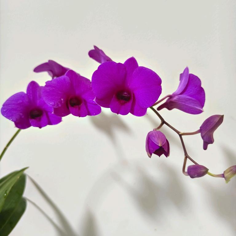 @晓晓