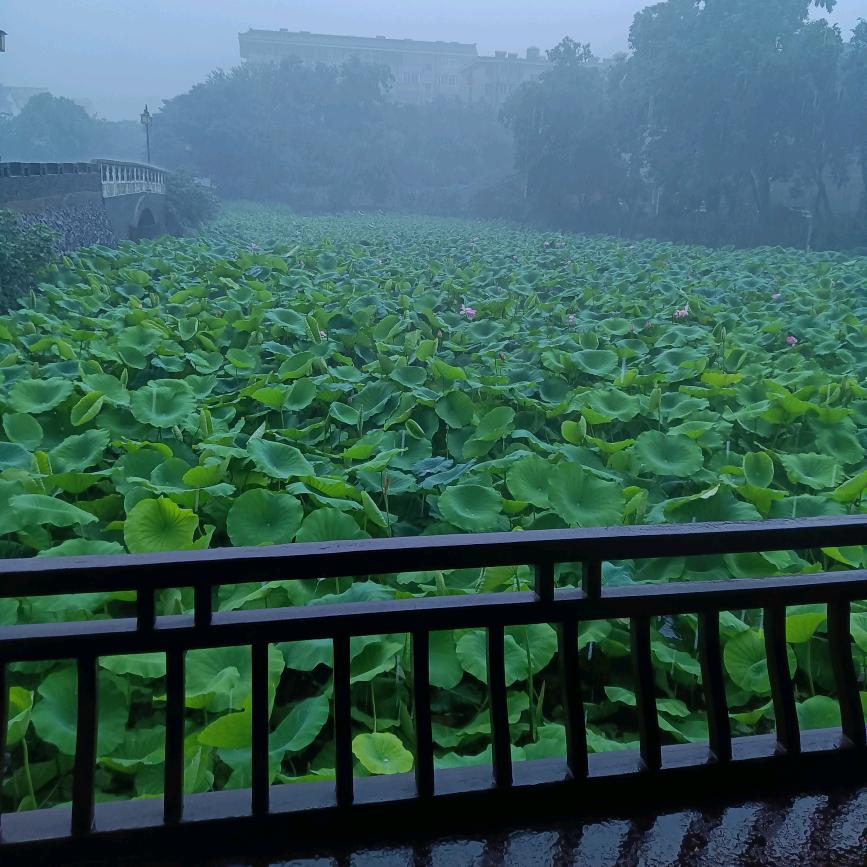 秋雨&霖潼