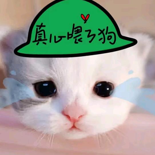 小云
