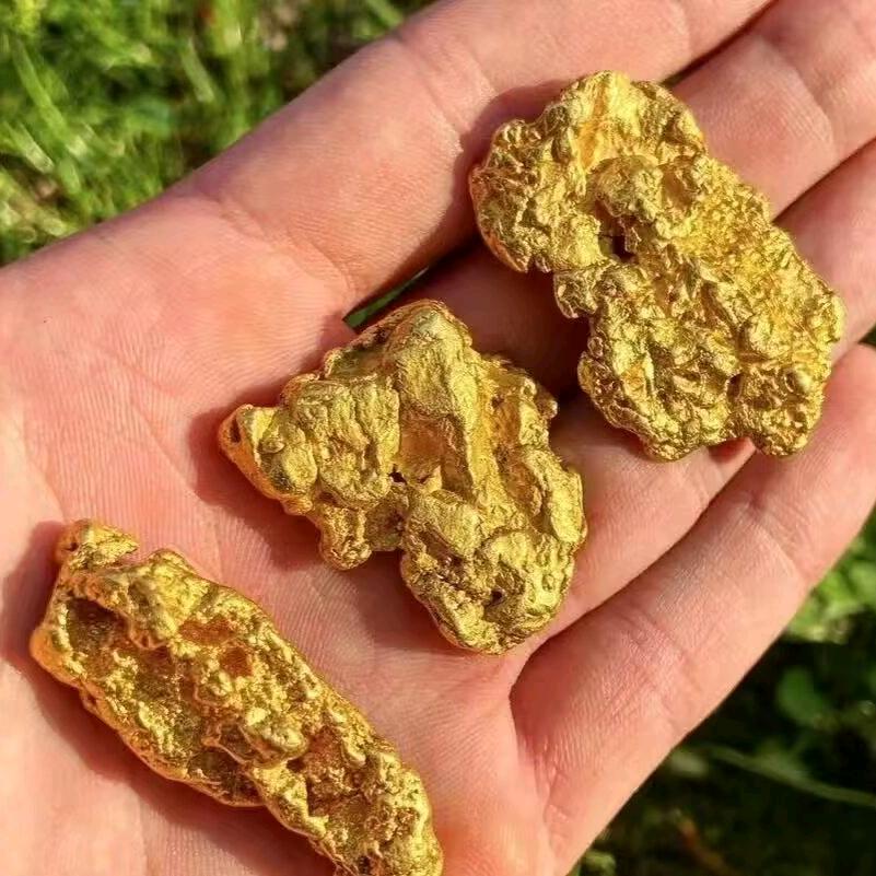 阿金带你看小鱼