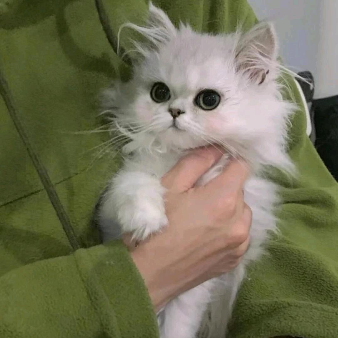 润韫.