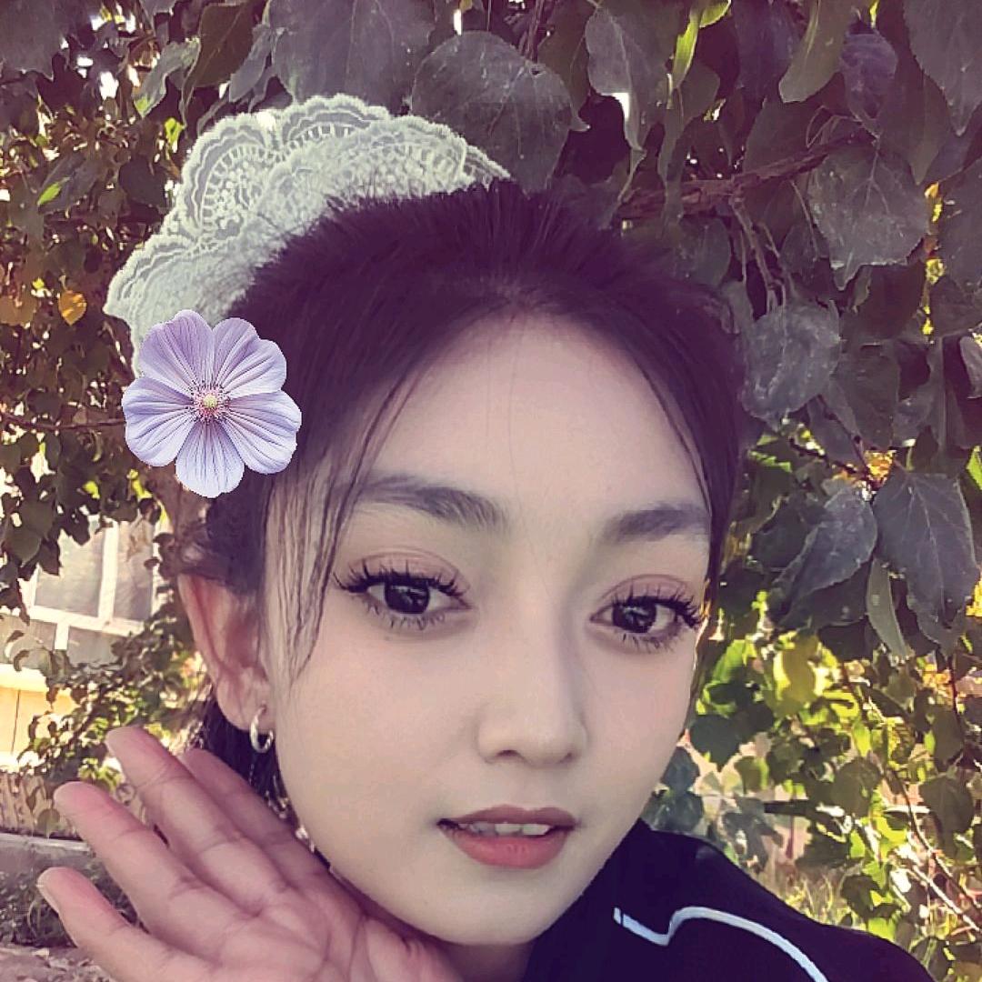 🍁