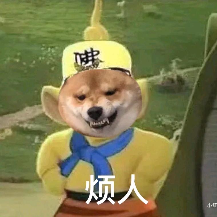 你们的轩轩老师