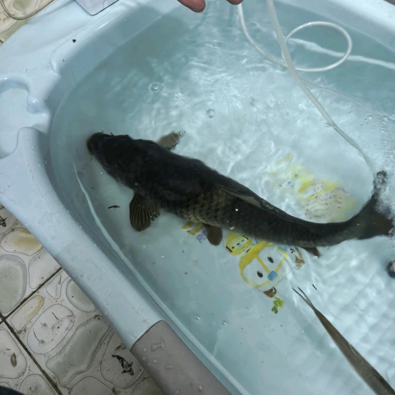 桂林钓友 经得晒