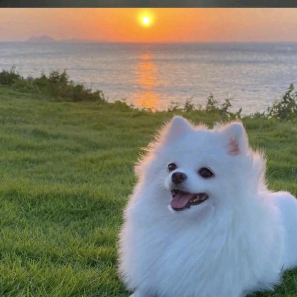 R－
