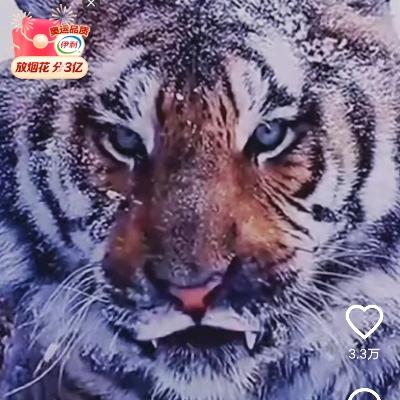 ᰔᩚ᭄💞孤灯@浊酒ℛ꧔ꦿᩚ࿐🕊