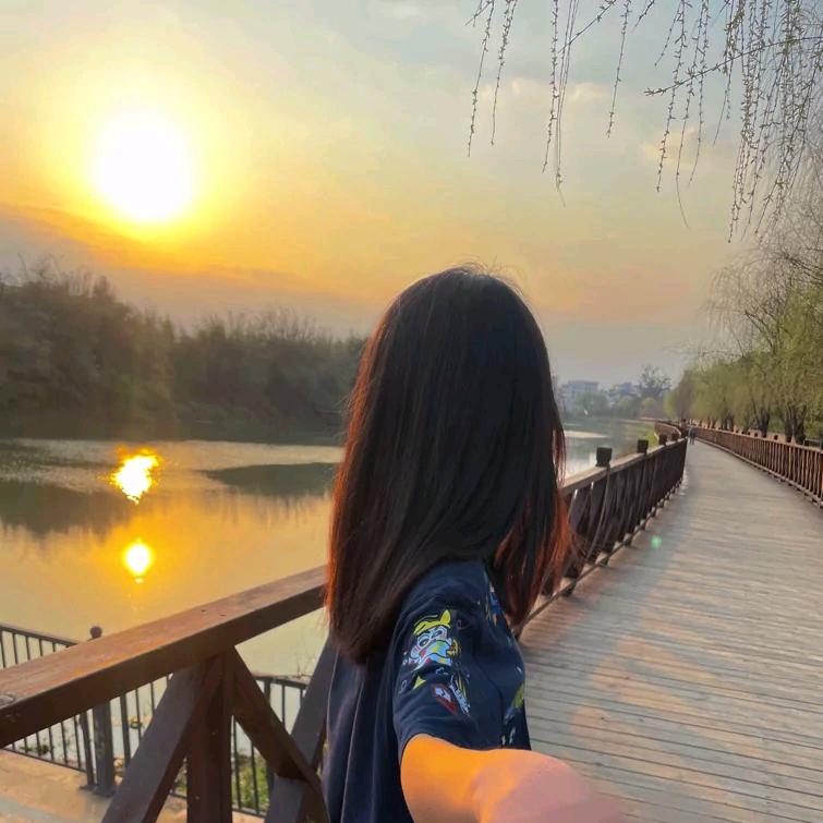 在树洞里向日葵