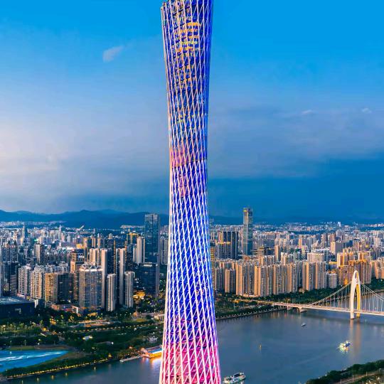 乡村小杨